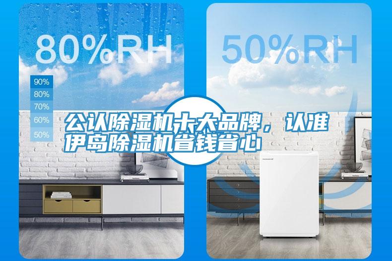 公認除濕機十大品牌，認準(zhǔn)伊島除濕機省錢省心