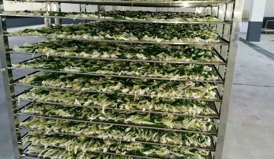 菜干需求一直都很大，蔬菜烘干機很有市場
