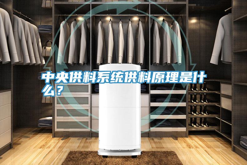 中央供料系統供料原理是什么？