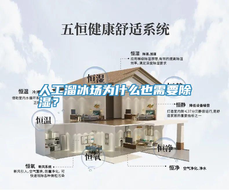 人工溜冰場為什么也需要除濕？