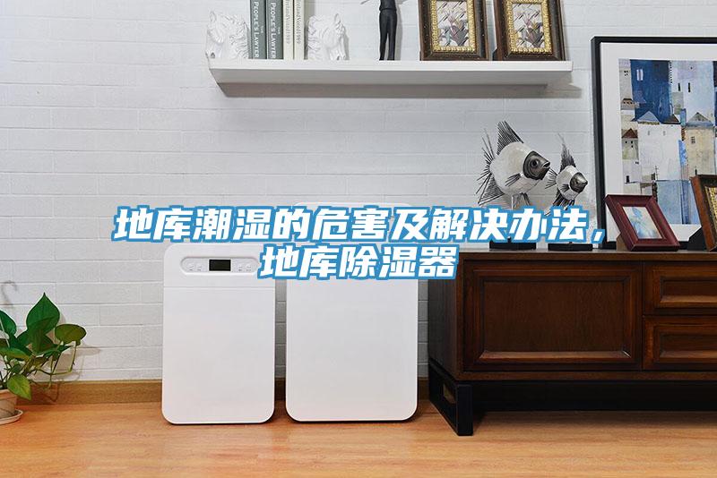 地庫潮濕的危害及解決辦法，地庫除濕器