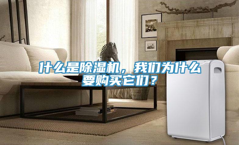 什么是除濕機(jī)，我們?yōu)槭裁匆?gòu)買它們？