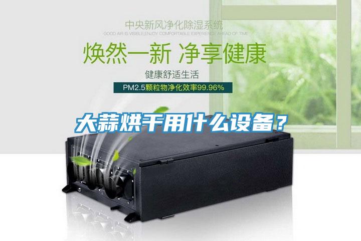 大蒜烘干用什么設備？