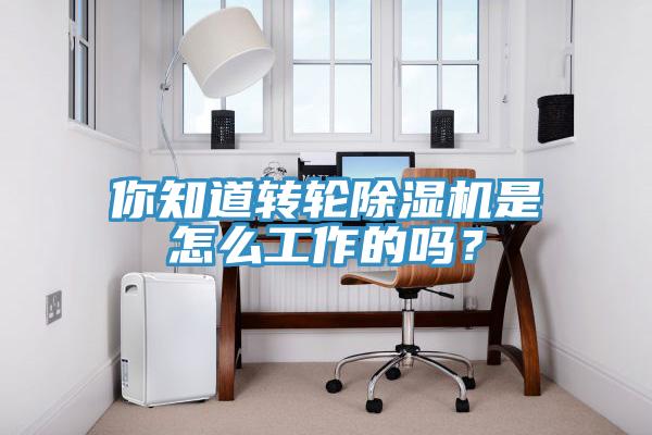你知道轉輪除濕機是怎么工作的嗎？