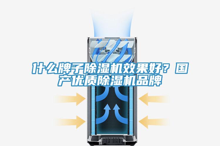 什么牌子除濕機(jī)效果好？國(guó)產(chǎn)優(yōu)質(zhì)除濕機(jī)品牌