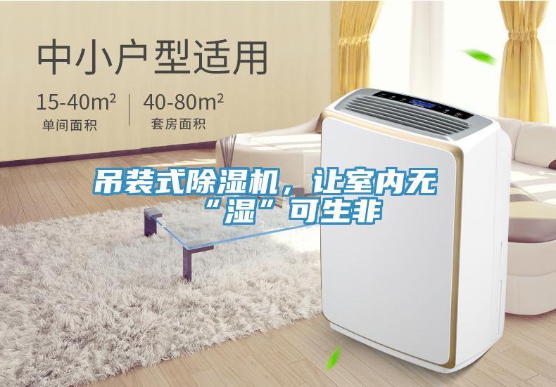 吊裝式除濕機(jī)，讓室內(nèi)無(wú)“濕”可生非