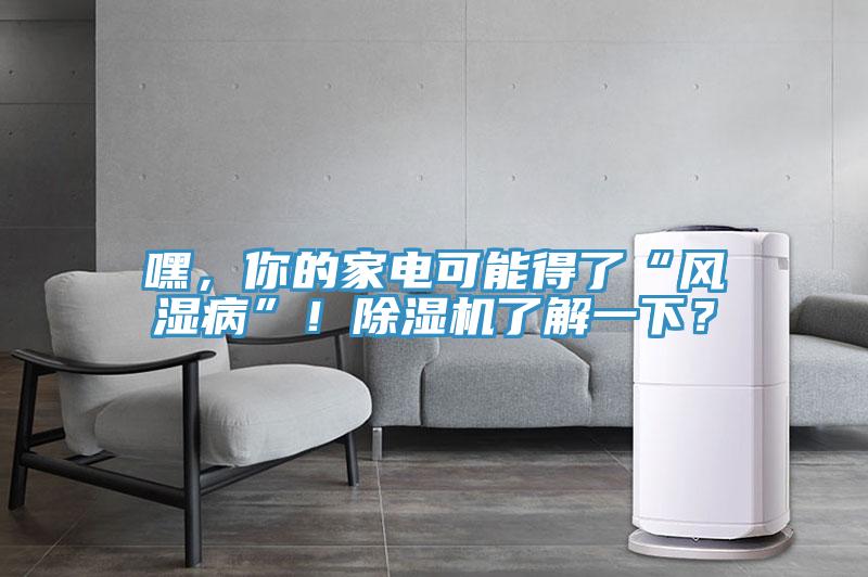 嘿,你的家電可能得了“風濕病”!除濕機了解一下?