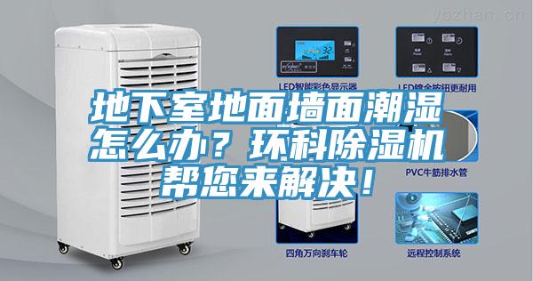 地下室地面墻面潮濕怎么辦？環科除濕機幫您來解決！
