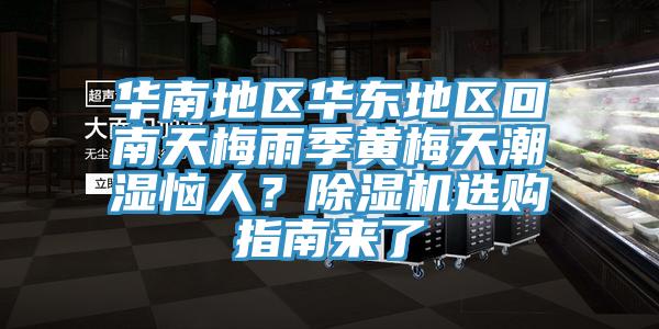 華南地區華東地區回南天梅雨季黃梅天潮濕惱人？除濕機選購指南來了