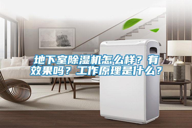 地下室除濕機怎么樣?有效果嗎?工作原理是什么?