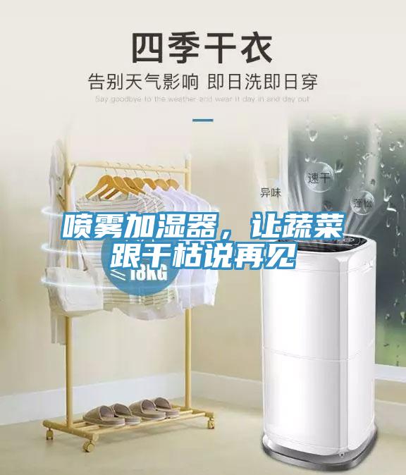 噴霧加濕器,讓蔬菜跟干枯說再見