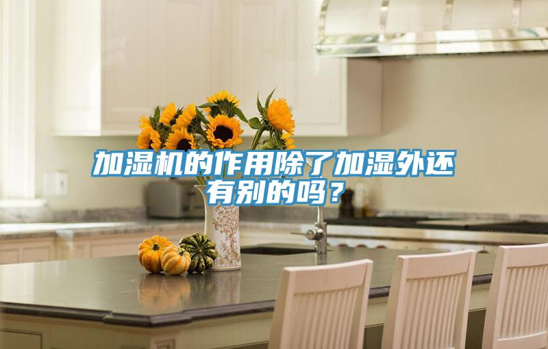 加濕機的作用除了加濕外還有別的嗎？