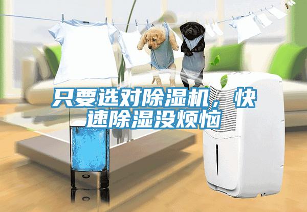 只要選對除濕機(jī)，快速除濕沒煩惱