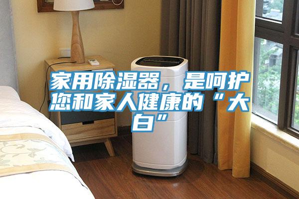 家用除濕器,是呵護您和家人健康的“大白”