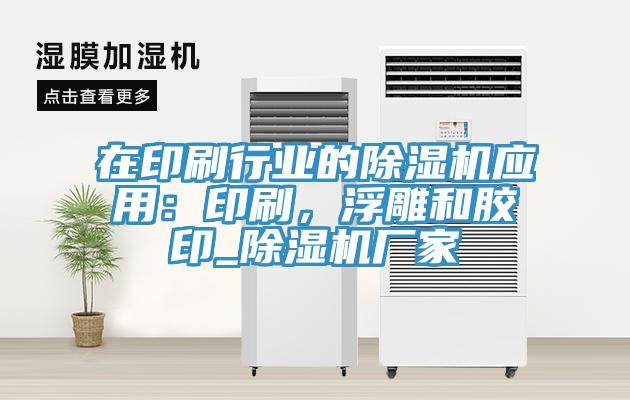 在印刷行業的除濕機應用：印刷，浮雕和膠印_除濕機廠家
