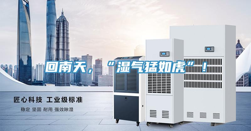 回南天,“濕氣猛如虎”!