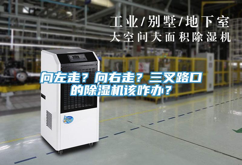 向左走？向右走？三叉路口的除濕機該咋辦？