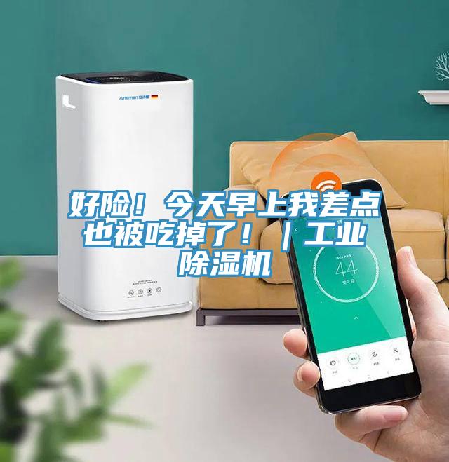 好險(xiǎn)!今天早上我差點(diǎn)也被吃掉了!|工業(yè)除濕機(jī)
