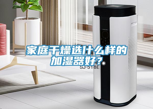 家庭干燥選什么樣的加濕器好?