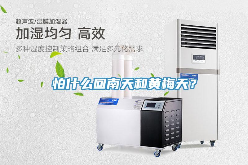 怕什么回南天和黃梅天?