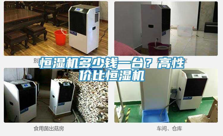 恒濕機多少錢一臺?高性價比恒濕機