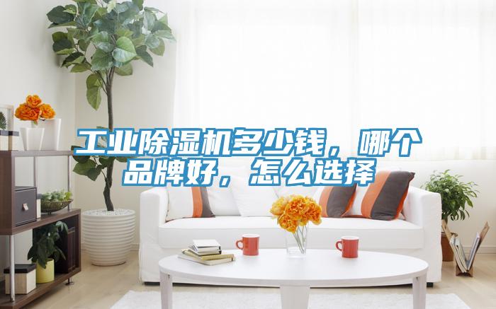 工業(yè)除濕機(jī)多少錢，哪個品牌好，怎么選擇