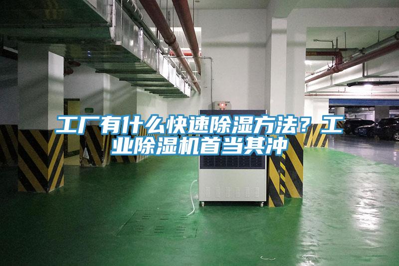 工廠有什么快速除濕方法？工業(yè)除濕機(jī)首當(dāng)其沖