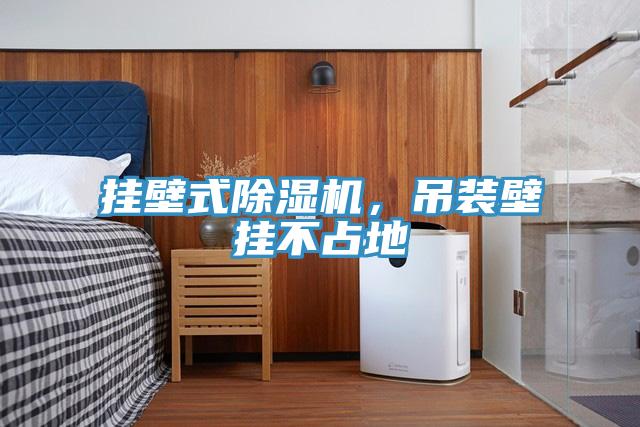 掛壁式除濕機(jī)，吊裝壁掛不占地