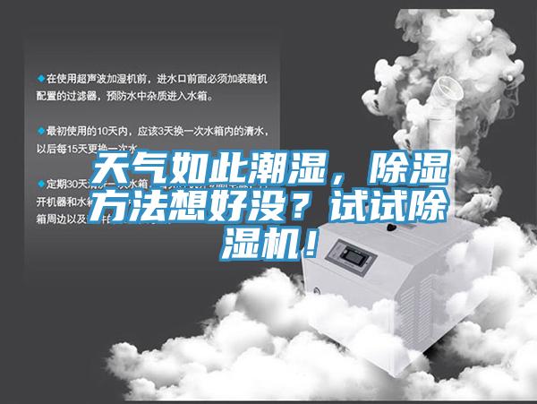 天氣如此潮濕，除濕方法想好沒？試試除濕機！