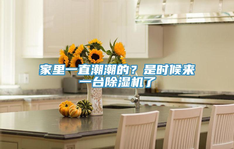 家里一直潮潮的？是時(shí)候來一臺(tái)除濕機(jī)了