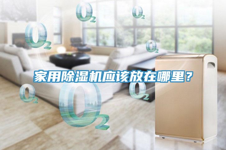 家用除濕機應該放在哪里?