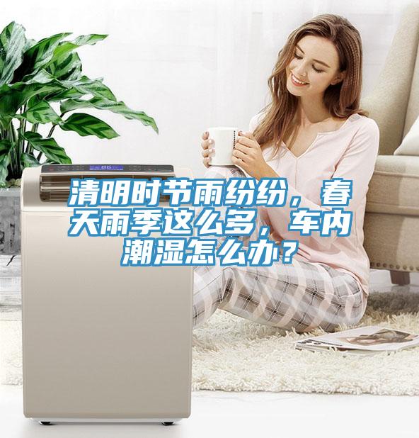 清明時節雨紛紛,春天雨季這么多,車內潮濕怎么辦?
