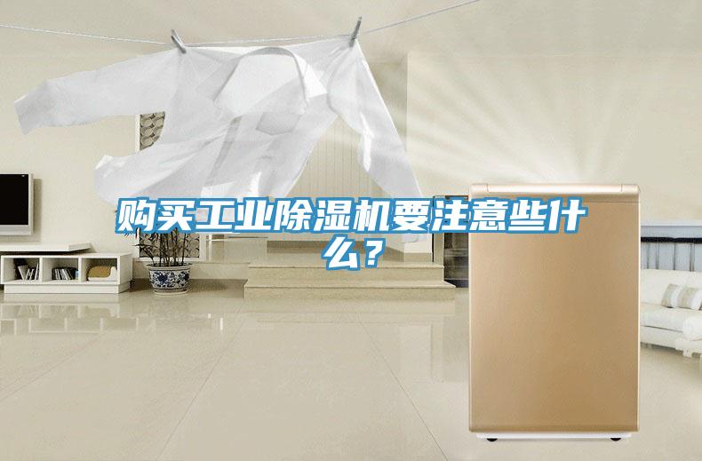 購(gòu)買工業(yè)除濕機(jī)要注意些什么？