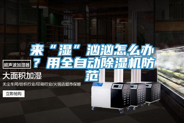 來(lái)“濕”洶洶怎么辦？用全自動(dòng)除濕機(jī)防范