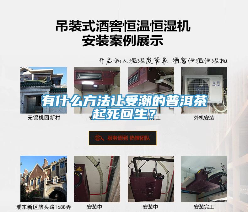 有什么方法讓受潮的普洱茶起死回生？