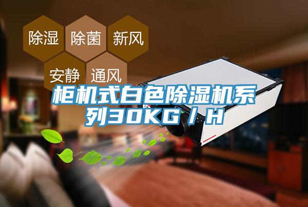 柜機(jī)式白色除濕機(jī)系列30KG/H