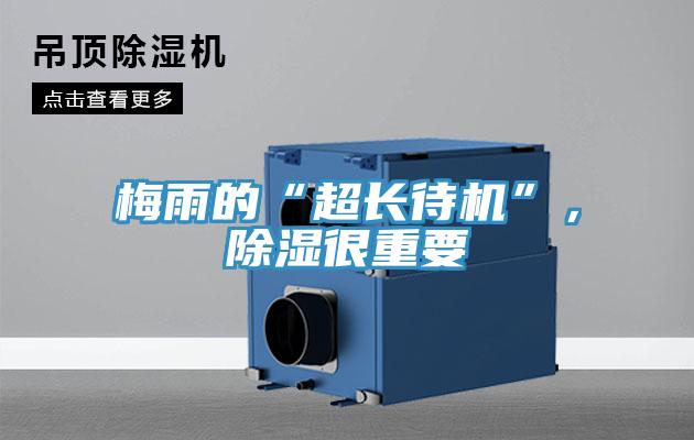 梅雨的“超長待機”，除濕很重要
