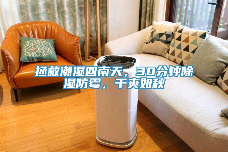 拯救潮濕回南天，30分鐘除濕防霉，干爽如秋