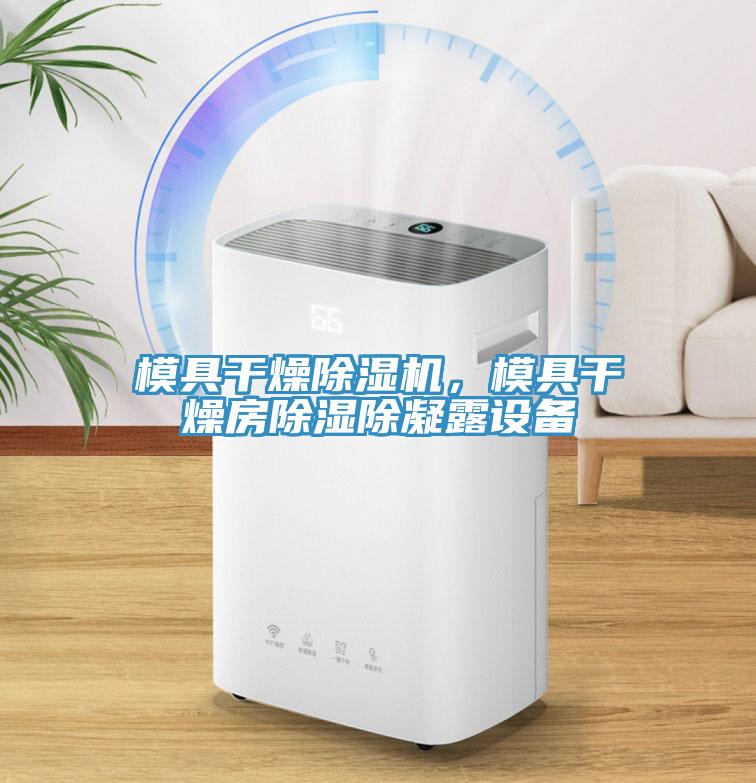 模具干燥除濕機，模具干燥房除濕除凝露設備