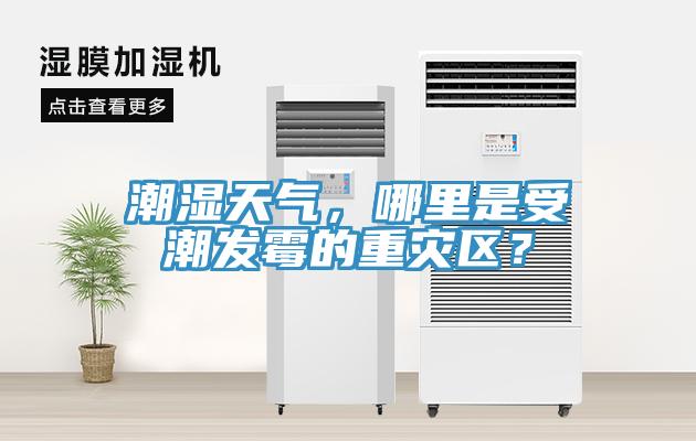 潮濕天氣，哪里是受潮發(fā)霉的重災(zāi)區(qū)？