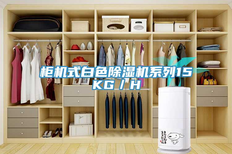 柜機(jī)式白色除濕機(jī)系列15KG/H