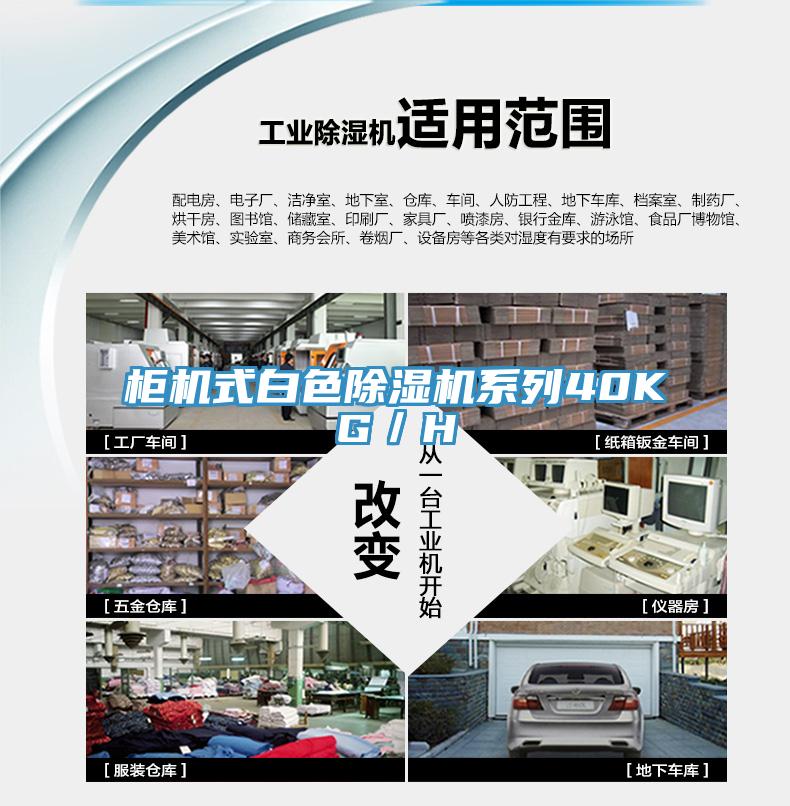 柜機(jī)式白色除濕機(jī)系列40KG/H