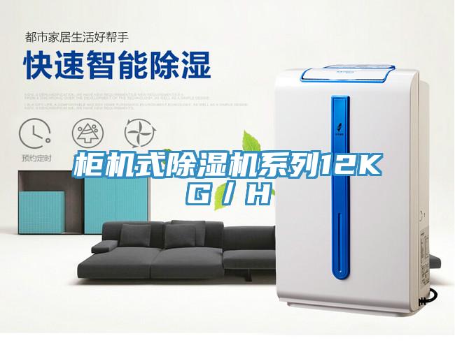柜機(jī)式除濕機(jī)系列12KG/H