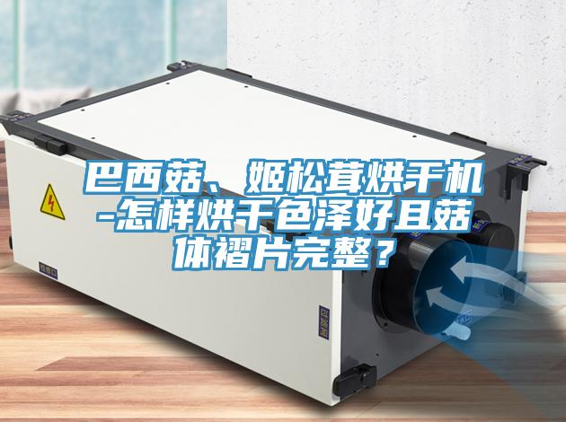 巴西菇、姬松茸烘干機-怎樣烘干色澤好且菇體褶片完整？