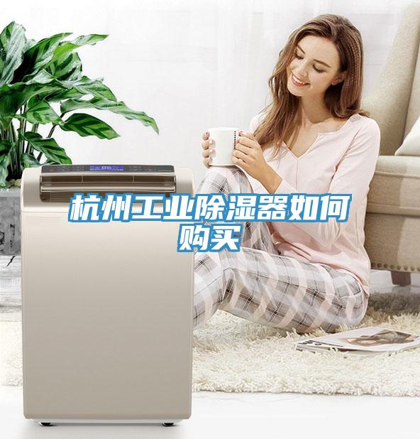 杭州工業(yè)除濕器如何購(gòu)買(mǎi)