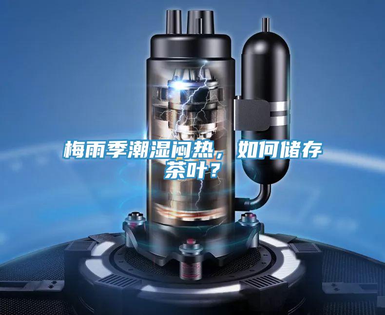 梅雨季潮濕悶熱，如何儲存茶葉？
