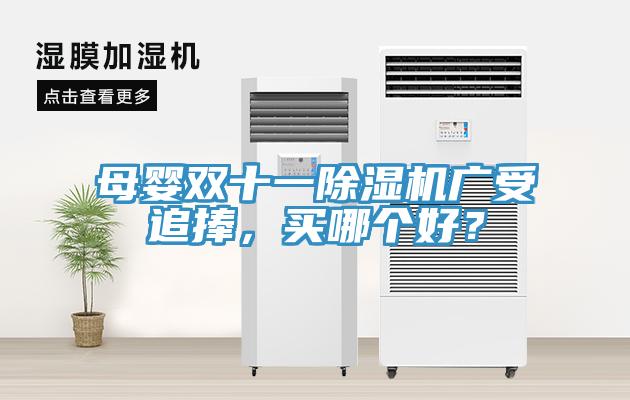 母嬰雙十一除濕機廣受追捧，買哪個好？