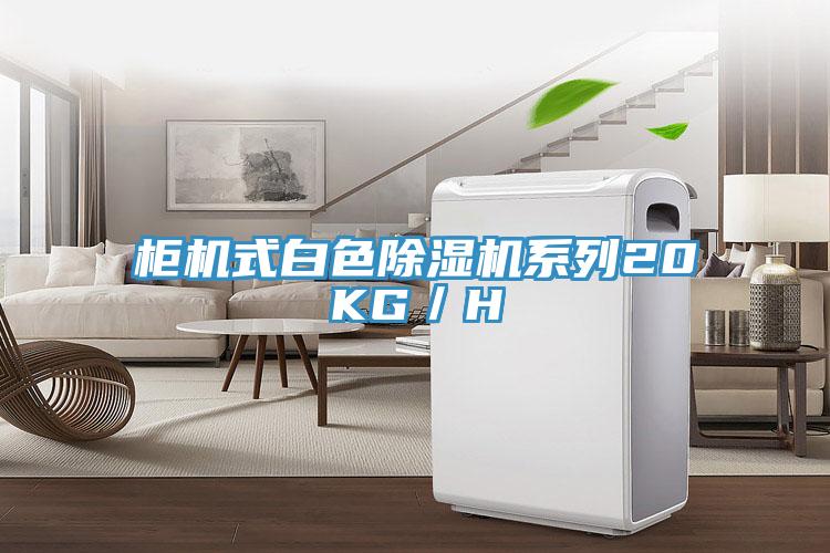 柜機(jī)式白色除濕機(jī)系列20KG/H