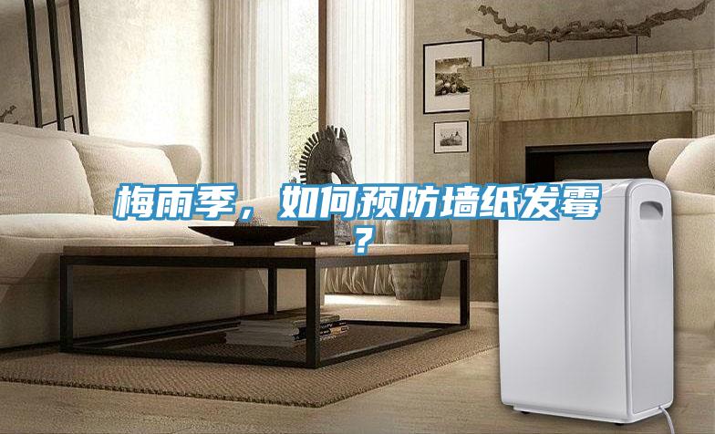 梅雨季，如何預防墻紙發(fā)霉？