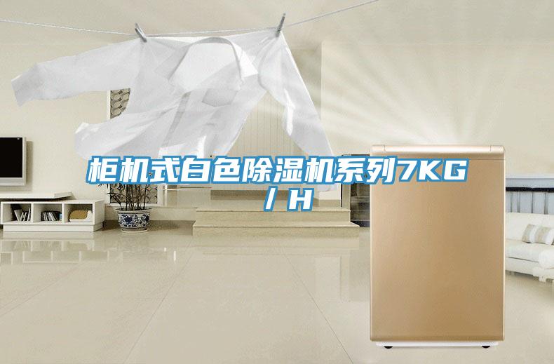 柜機(jī)式白色除濕機(jī)系列7KG/H
